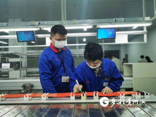 比亞迪貴陽弗迪動力高壓電氣工廠首批線束產品成功下線，加速高低壓電氣產業布局